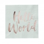 Mint & Rose Gold Paper Napkins - Hello World