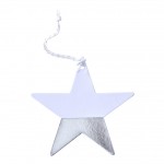 Silver Dipped Star Gift Tags - Metallic Star