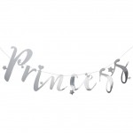 Silver Princess Backdrop Bunting Banner - Princess Party