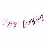 Bunting - Happy Birthday - Hot Pink