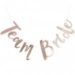Rose Gold Hen Party Bunting Backdrop - Team Bride